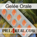 Gelée Orale 26